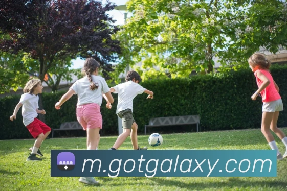银河galaxy娱乐官网APP 封面图